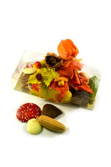 Herfst Chocolade in transparante doos rechthoek