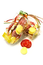  Herfst chocolade Paddenstoelen Plat in Klikdoos